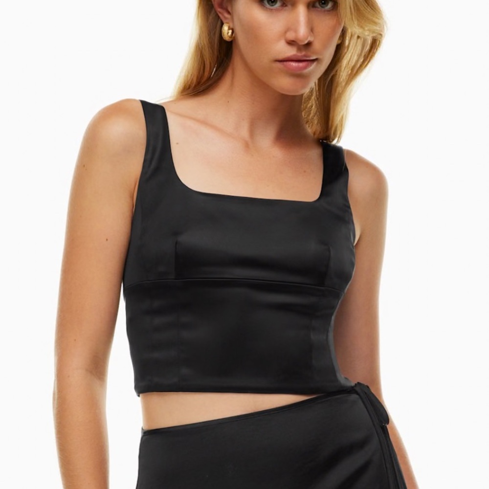 Aritzia Wilfred Shine Bustier Top